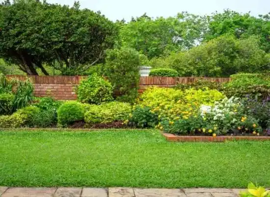 landscaping services Harbor Isle